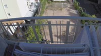 Merano -  Monte di Merano