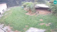 Lubiana - ZOO