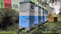 Bienenhaus