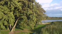 Dąbki - Bukowo Lake
