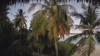 Akasdhoo - Hard Rock Hotel Maldives