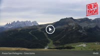 Moena - Cima Uomo