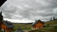 Oberharz am Brocken - Tanne
