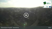 Hardegg - Castillo