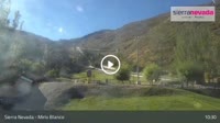 Sierra Nevada - Mirlo Blanco