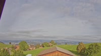Root - Panorama