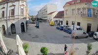 Miniatura