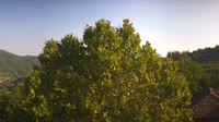 Bosia - Panorama
