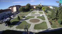 Miniatura