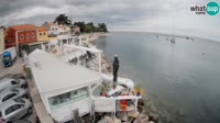 Novigrad - Porporela