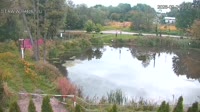 Rąbień - Staw