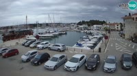 Novigrad - Porporela Marina