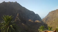 Tenerifė - Buenavista del Norte - Maskos tarpeklis