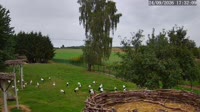 Miniaturansicht