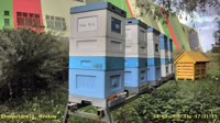 Apiary