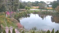 Rąbień - Staw