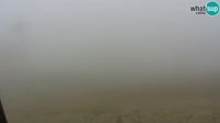 Cardini - Monte Alpet - Roburent