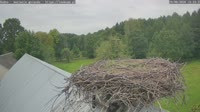 Rudno - Storks