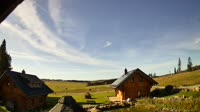 Oberharz am Brocken - Tanne