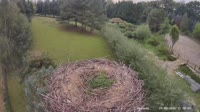 Miniaturansicht