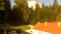 Miniaturansicht