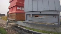 Bitiniai