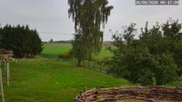 Kozubszczyzna - Bociani Azyl