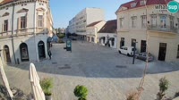 Miniatura