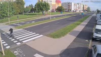 Leśna g.
