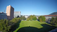 Miniaturansicht