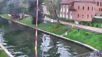 Most obrotowy