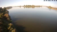 Odra