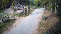 Miško parkas