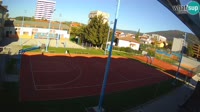 Miniatura