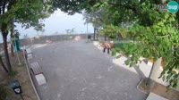 Senj - Parque de los escritores - Canal de Velebit