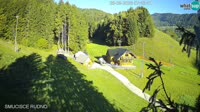 Miniaturka