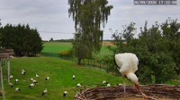 Kozubszczyzna - Bociani Azyl