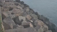 Gran Canaria - Plaża Pasito Blanco