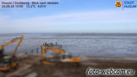 Husum - Dockkoog