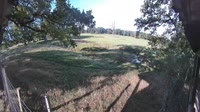 Hofgeismar - Sababurg Zoo - Żubry