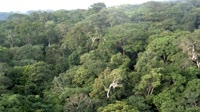 Reserva de la Biosfera de Yangambi