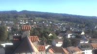 Markdorf - Bociany