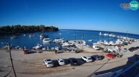 Savudrija - Marina