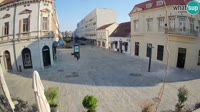 Miniatura