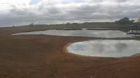 Voi - Parco nazionale dello Tsavo
