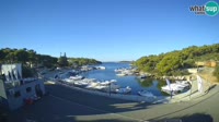 Trebocconi - Sovlje Marina