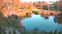 Rąbień - Pond