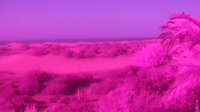 Gran Canaria - Maspalomas - Mirador Dunas