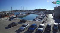 Novigrad - Porporela Marina