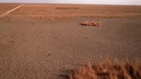 Parque nacional y natural de Doñana - Caño de Rosalimán